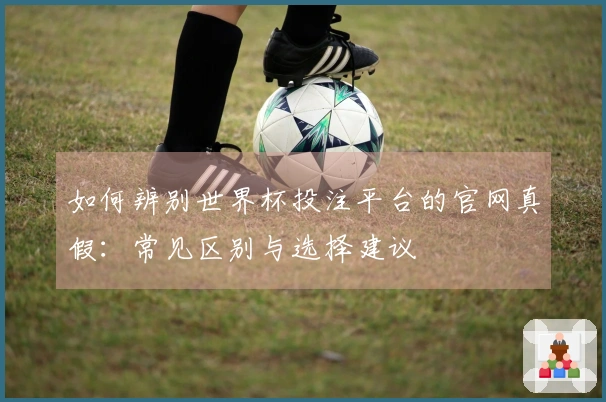 如何辨别世界杯投注平台的官网真假：常见区别与选择建议