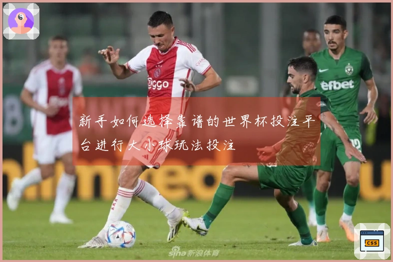 新手如何选择靠谱的世界杯投注平台进行大小球玩法投注