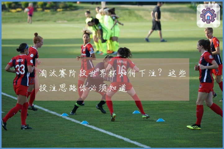 淘汰赛阶段世界杯如何下注?这些投注思路你必须知道
